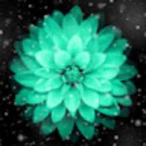 Meet your Posher, Debra